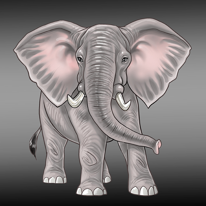 Elefante